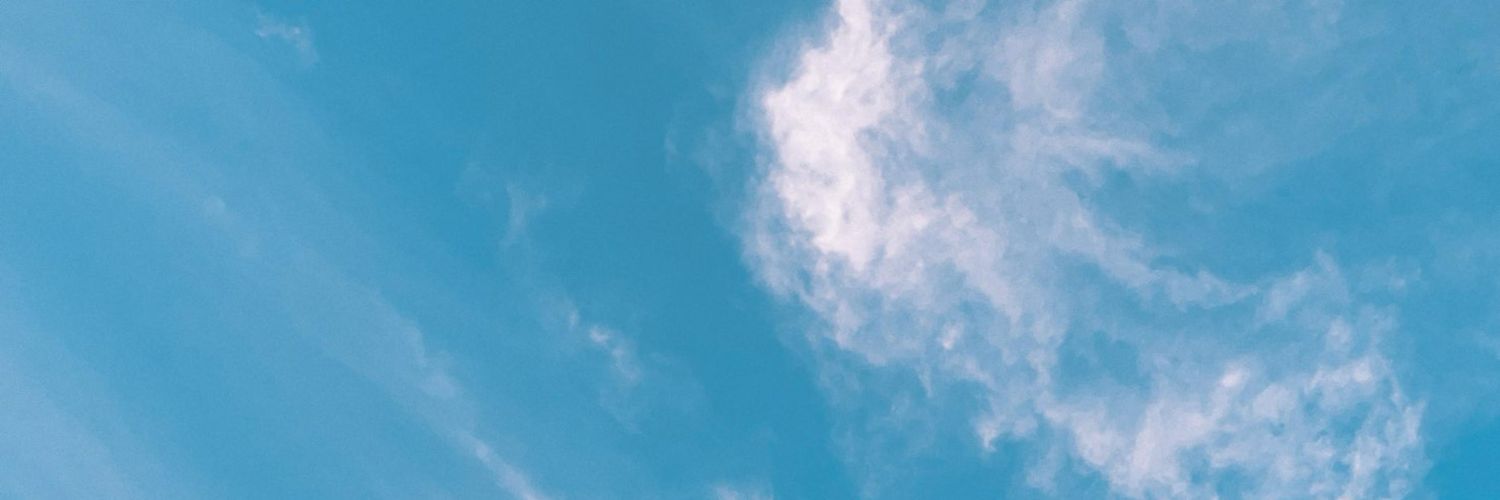 Snow's banner