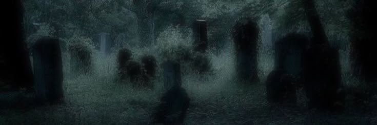 maddie ⊹₊⋆'s banner