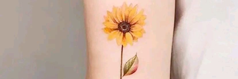 ทานตะวัน🌻's banner