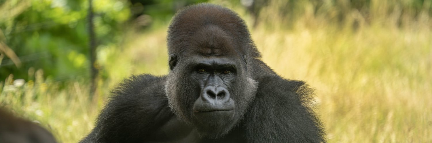 London Zoo's banner
