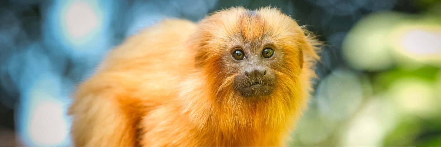 London Zoo's banner