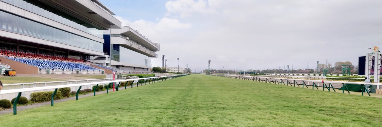 JRA新潟競馬場's banner