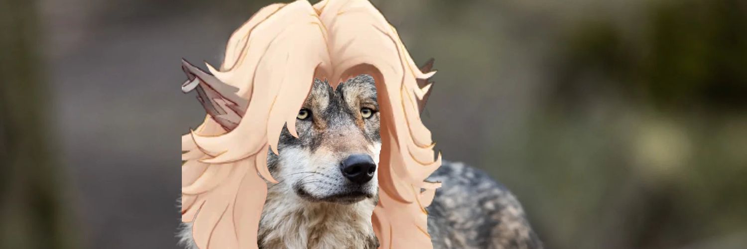 Hazel ࣪ ִֶָ☾. Silvers Wife's banner