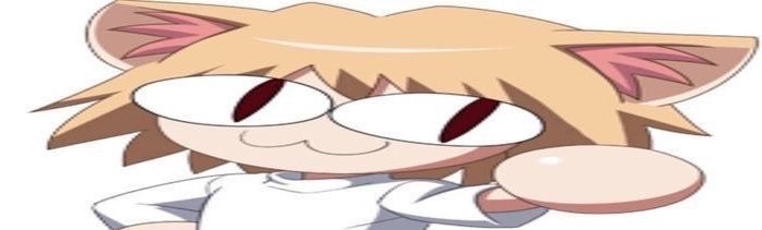 Noks's banner