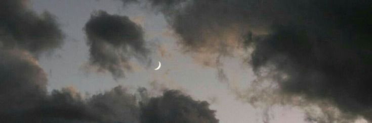 ari⋆.˚'s banner