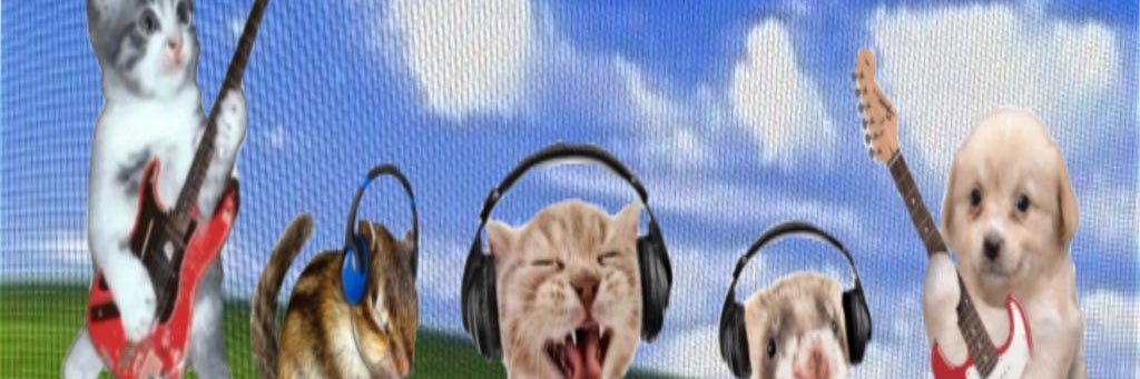 cat ʚ❤︎ɞ's banner