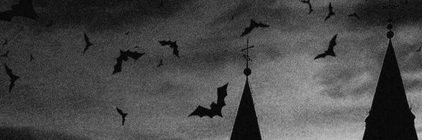 Ana Langdon's banner