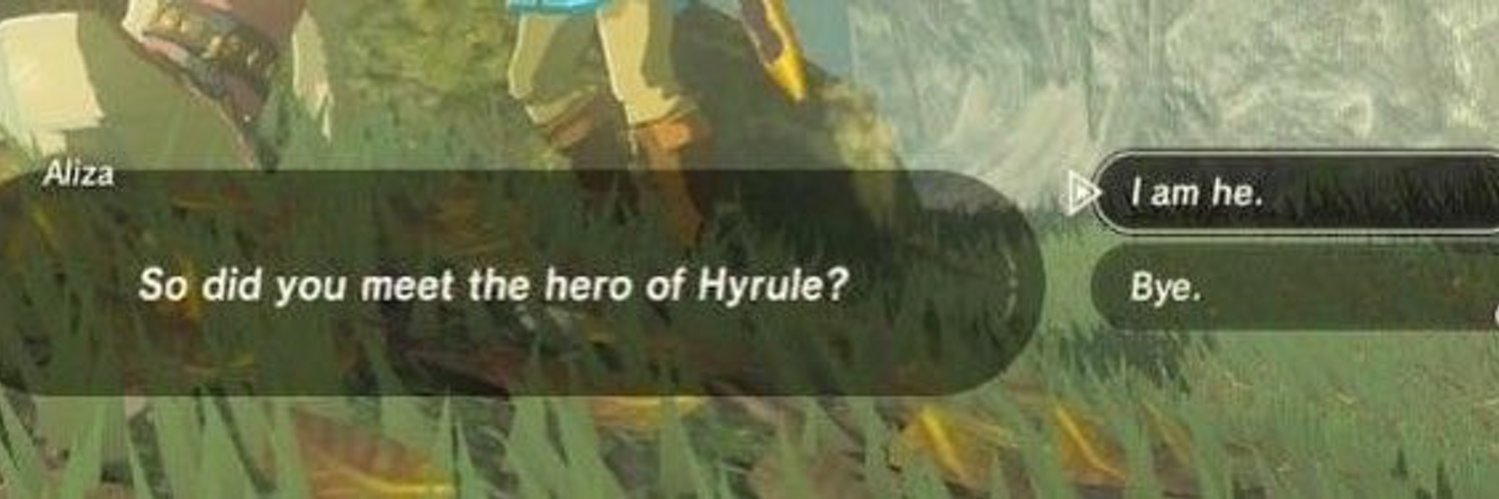 Link's banner