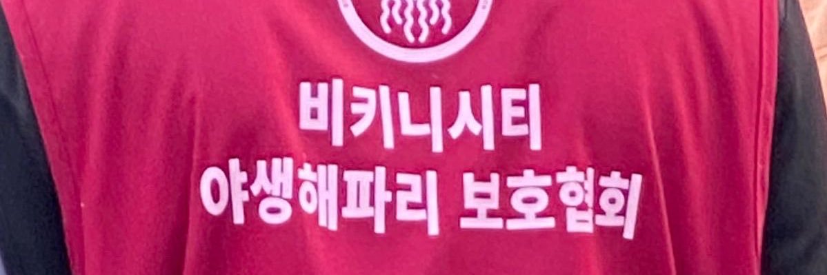 🥟's banner