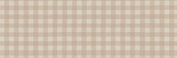 hourly shane's banner