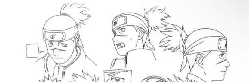 daily iruka 🐬 || IRUKA MONTH's banner
