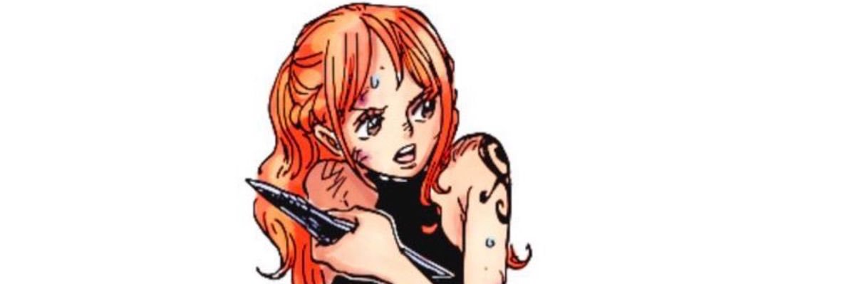 .'s banner