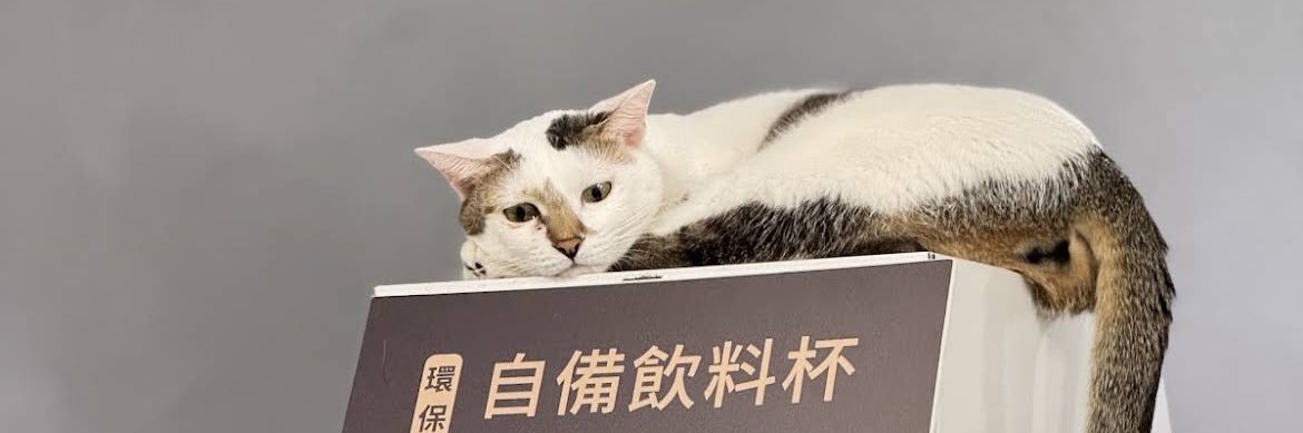 芮娜𝚁𝚎𝚗𝚊🤍's banner