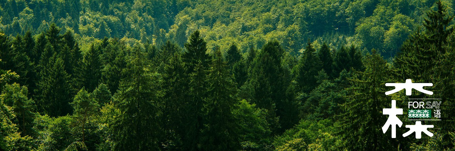 森语Forsay's banner