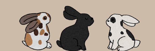 bnu 🐇👽's banner