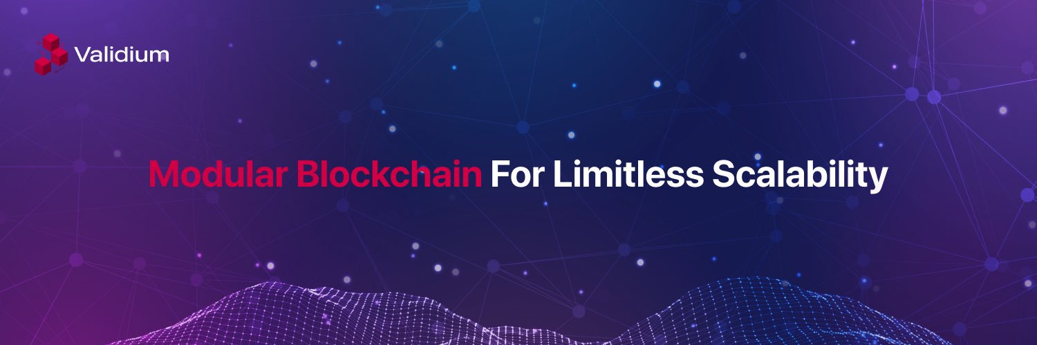 Validium Network's banner