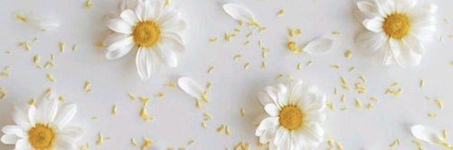 `Eve`☕️🤍🌼's banner