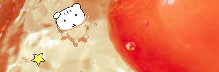 Cαɳԃყsita (🍬)—⁠☆'s banner