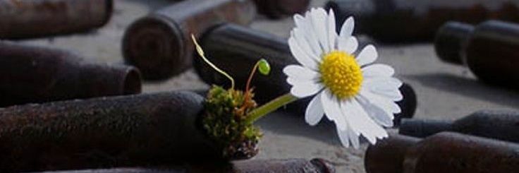 Art of science's banner