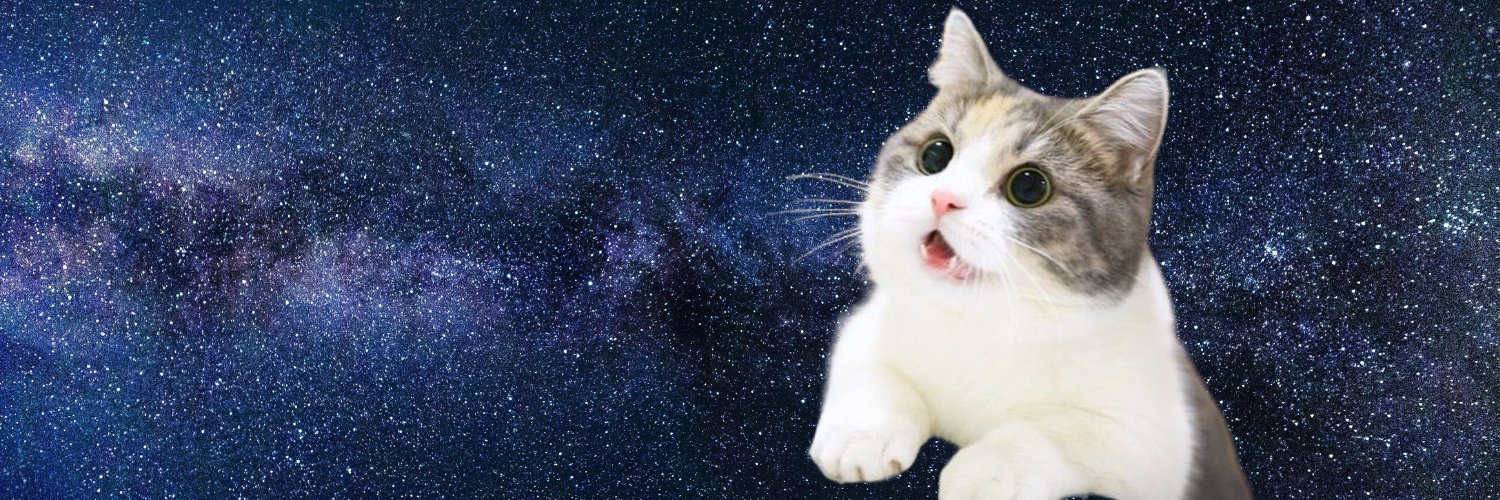 Strange Animal Stories's banner