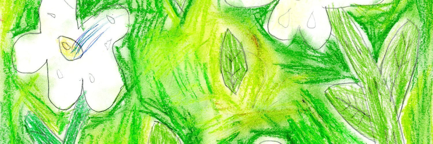 𝅄.daily basil ۪ ݁ 🌱🏳️‍⚧️🏳️‍🌈🇵🇸's banner
