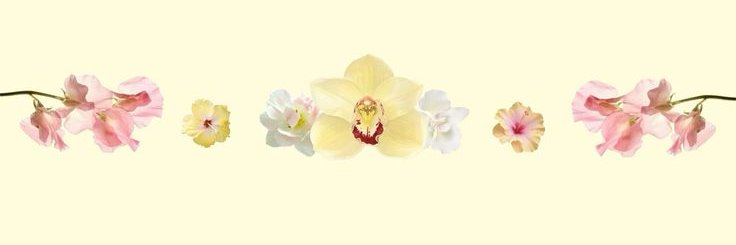 Lucia Sugar's banner