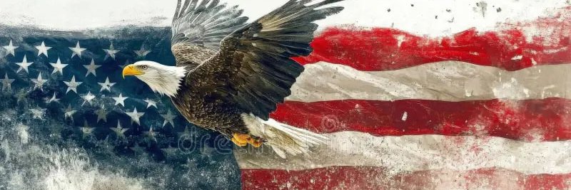 Red Line Report 🇺🇸's banner