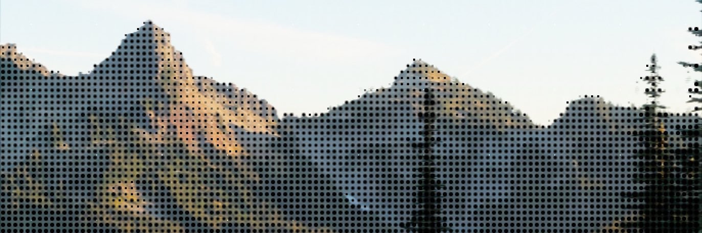 max fu's banner