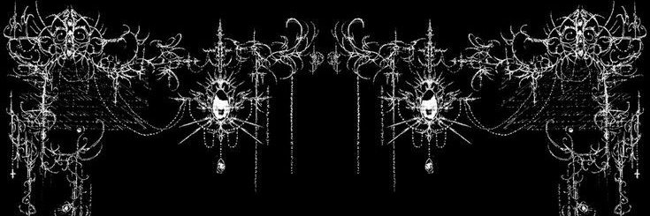 nikki's banner