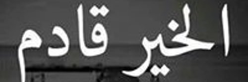 فوفو's banner