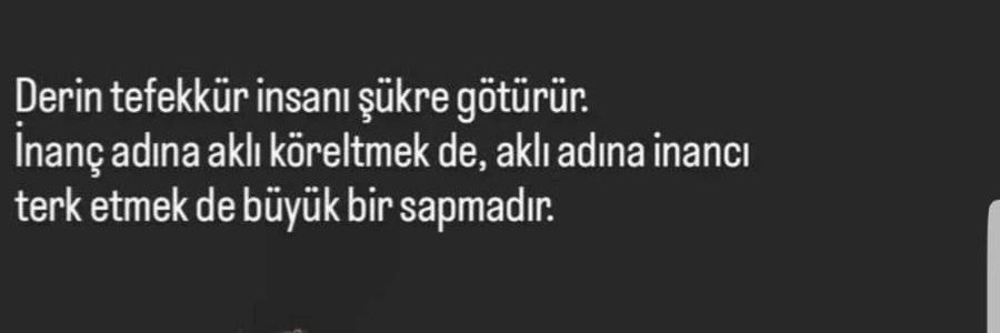 DİCLE🍂's banner