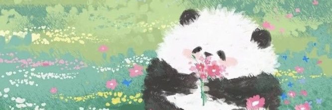 kora's banner