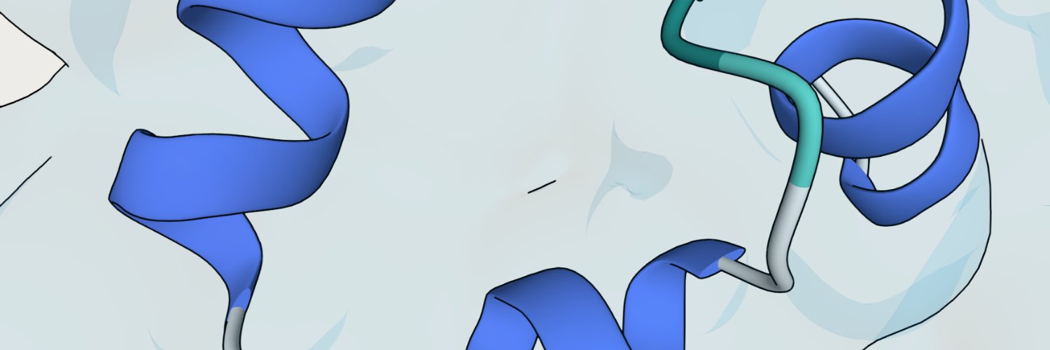 Chai Discovery's banner