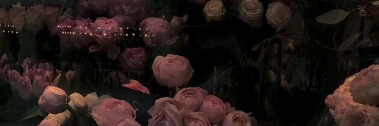 ☽⋰'s banner