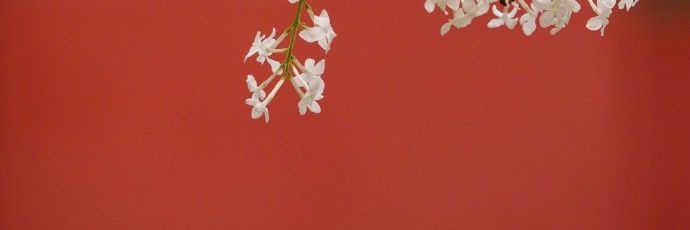 人间正道是沧桑🇨🇳（fo）'s banner