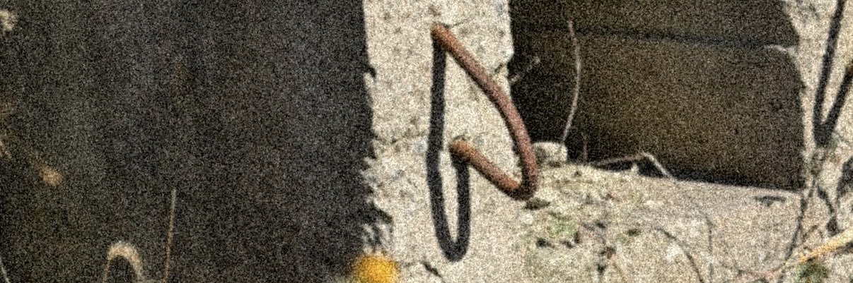 체체양..♡゚゚゚̥̥̊'s banner