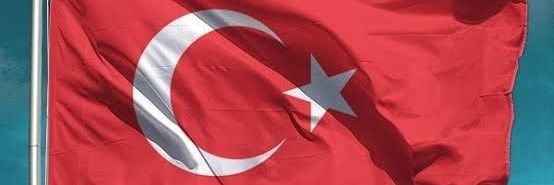 Tebessüm 🌺's banner