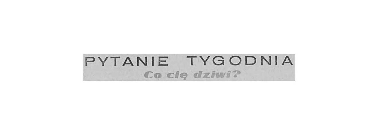 Wiktoria Szydło's banner