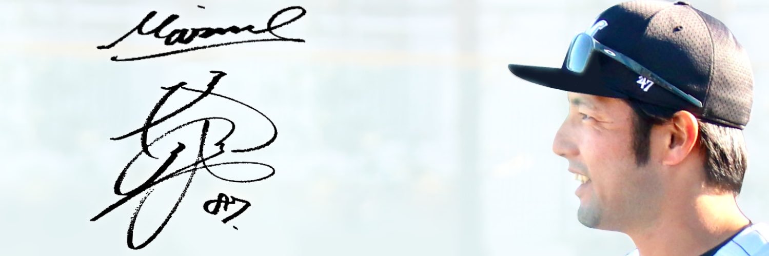 新日本ネモ党's banner