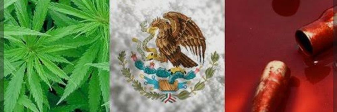 APOCALIPSIS's banner