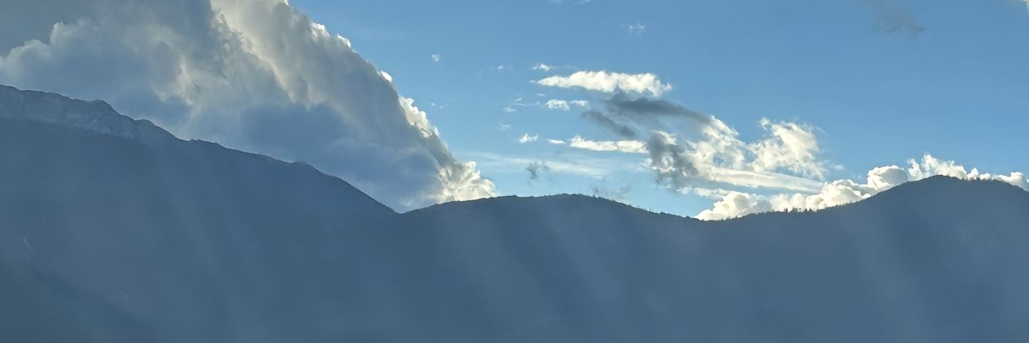 YuYu's banner
