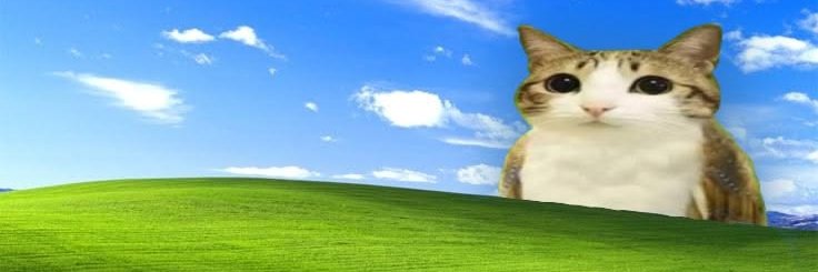 Text Memes's banner