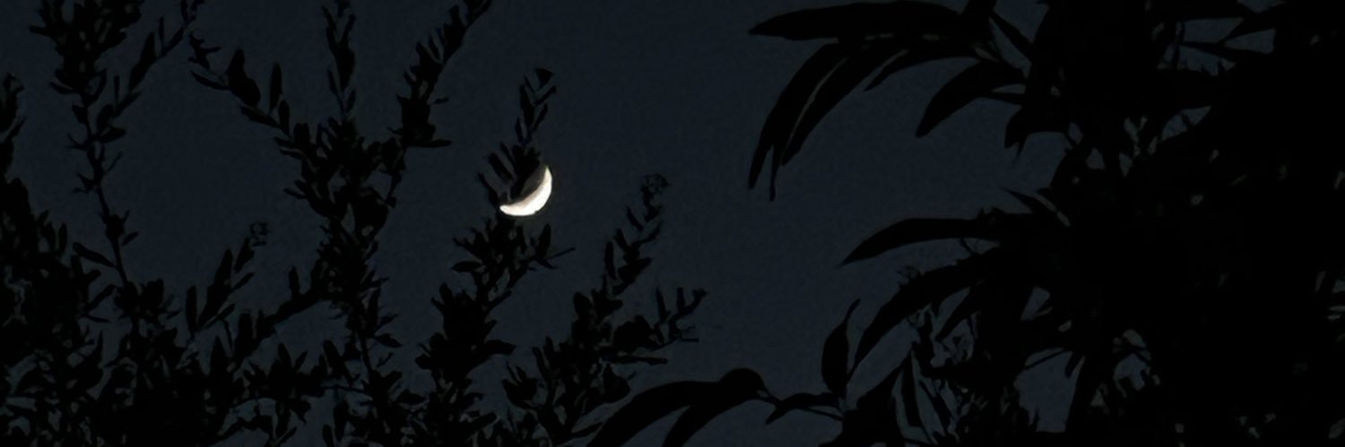 Shining Moon's banner