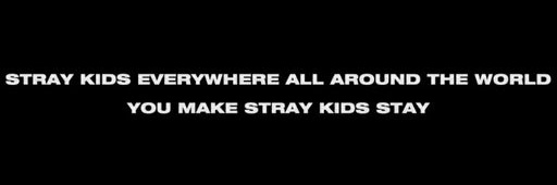 STRAY KIDS UPDATES's banner