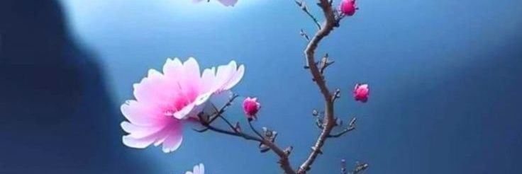 Mamta_5's banner