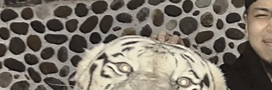 犬コネ師's banner