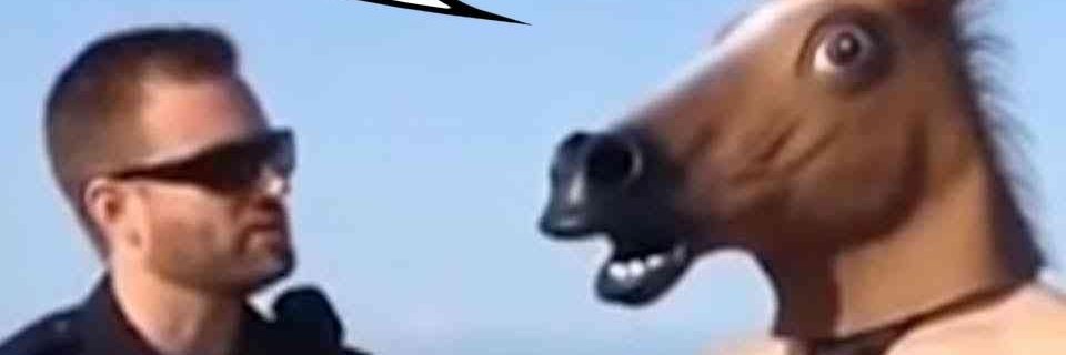 Toaster's banner