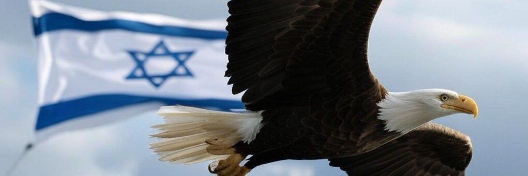 Robin 🇮🇱's banner