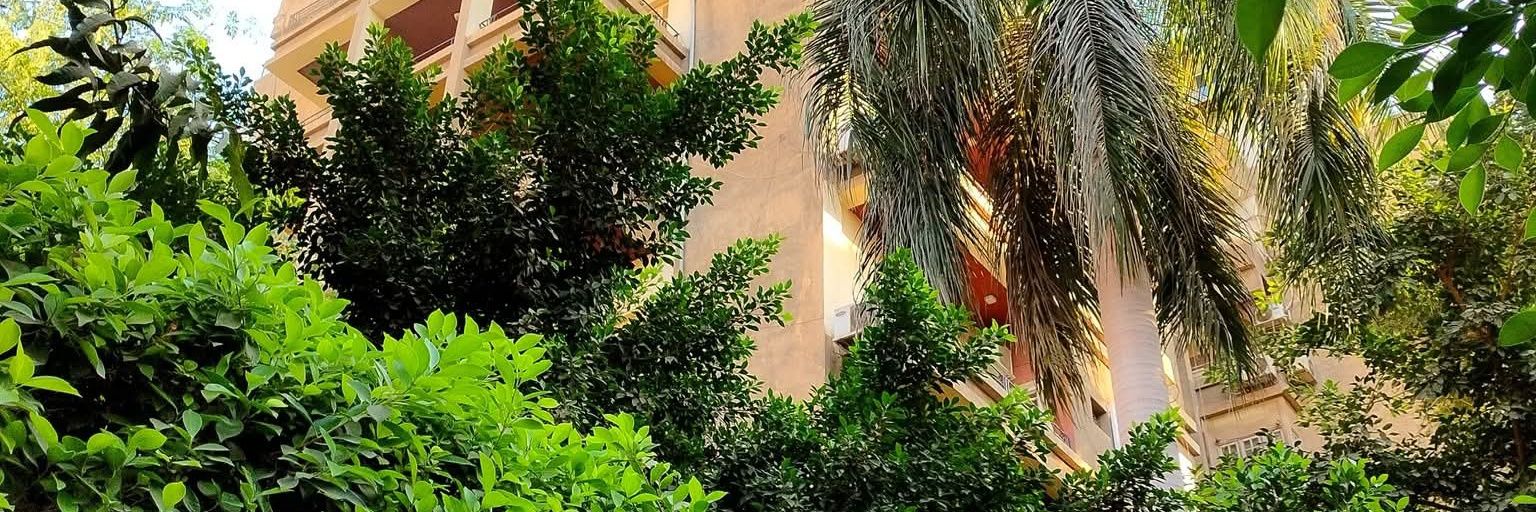 Rawan Erfan🦌's banner