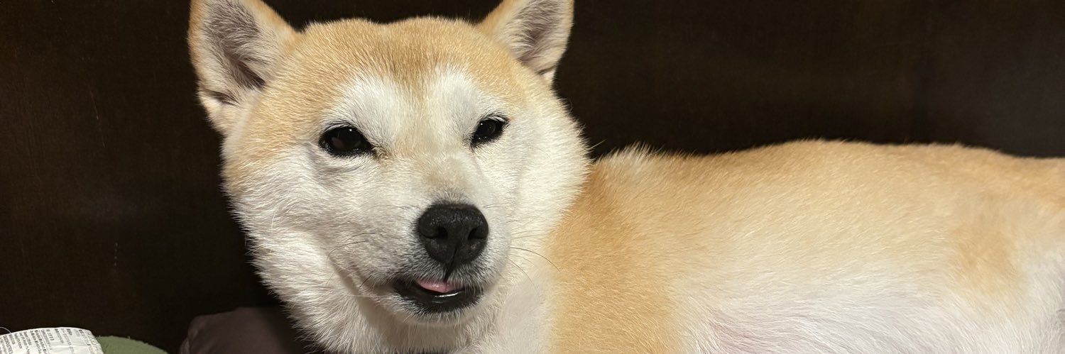 ホノカ🐕🩵's banner